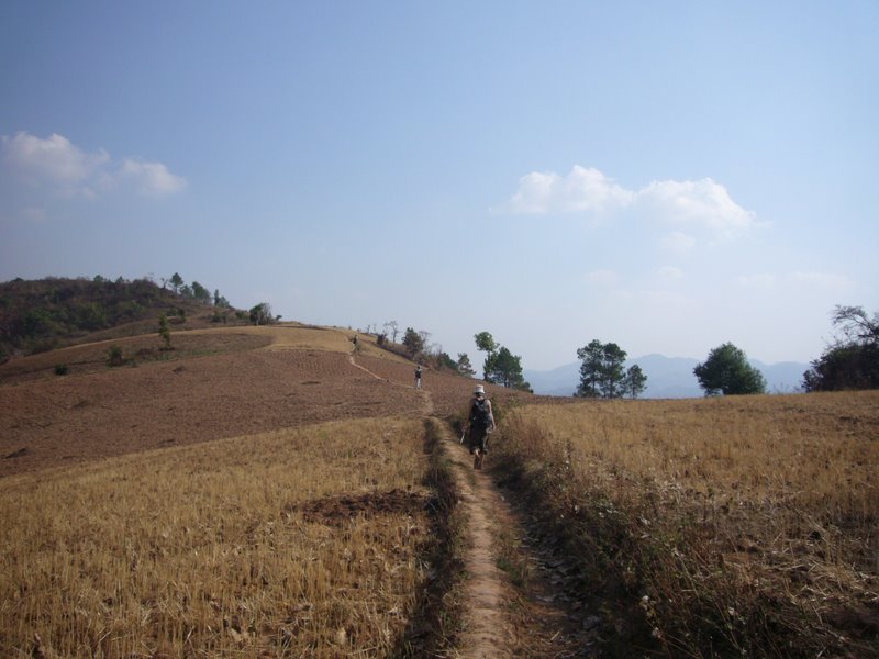 Heading upwards away from Kalaw towards the hill-tribes